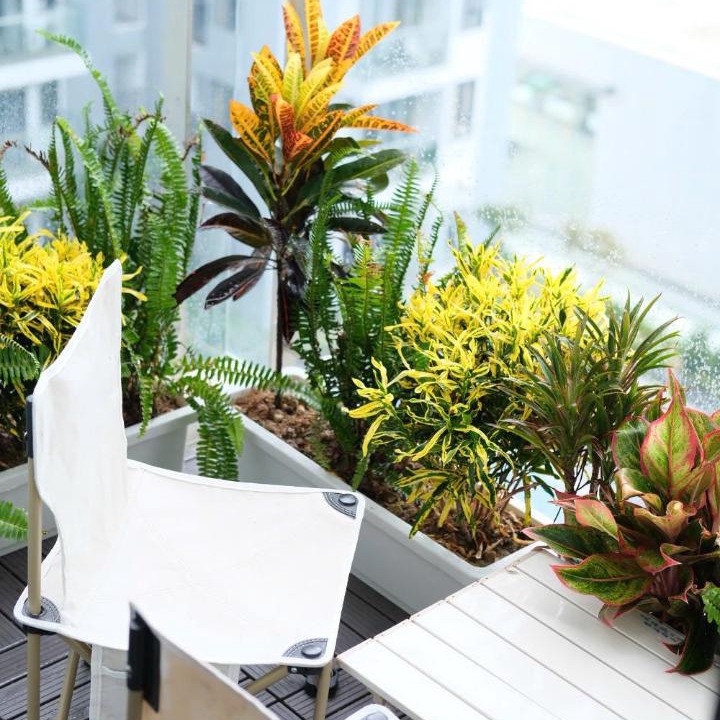 Photo of Patio Balcony in Hue