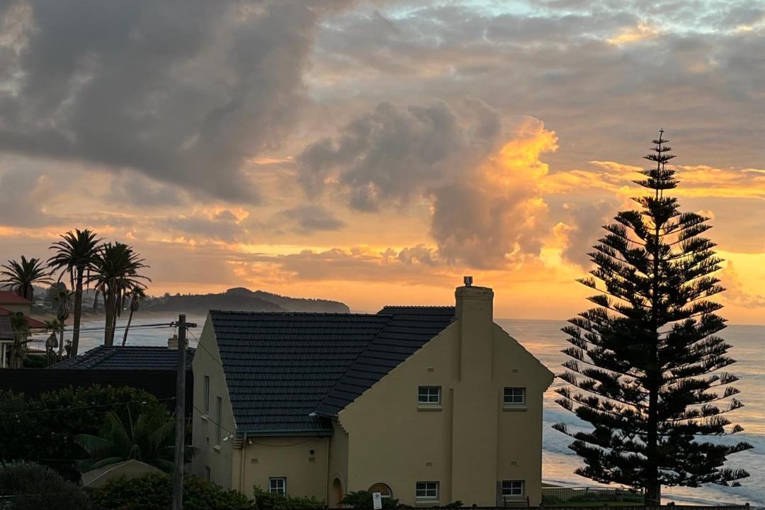 Photo of Others in Narrabeen