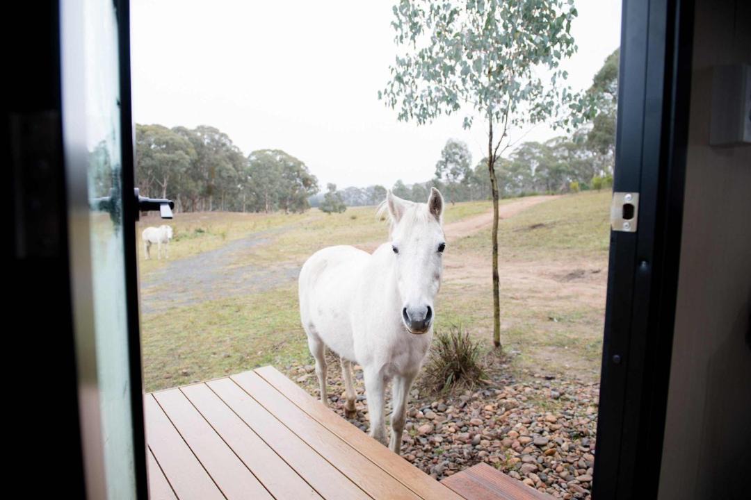 Photo of Others in Martindale