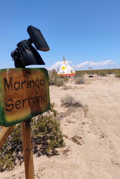 Photo of Others in Joshua Tree