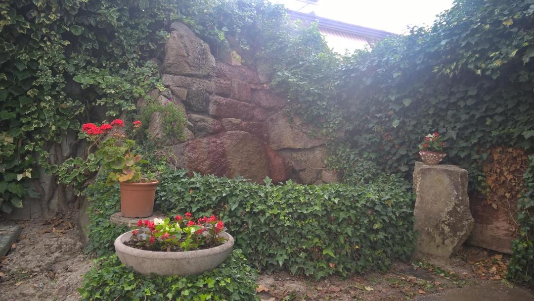 Photo of Others in Abano Terme