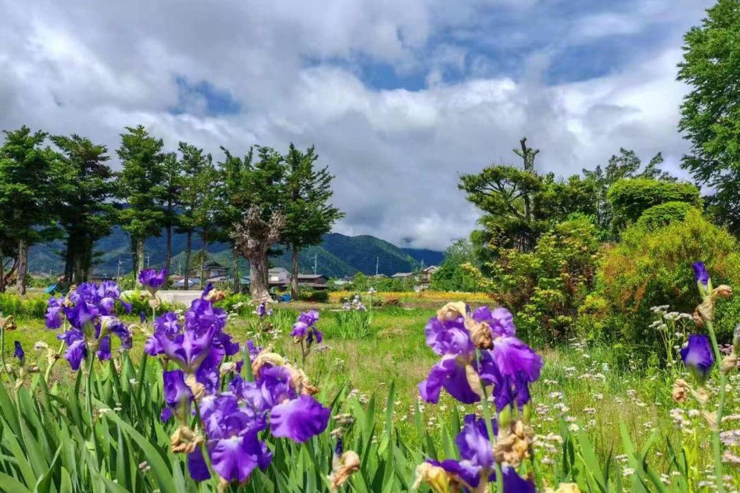 Photo of Outdoor in Omachi