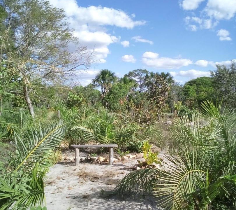 Photo of Others in Mateiros
