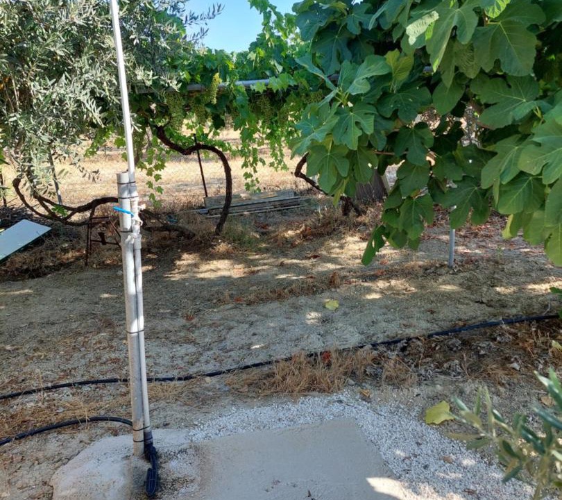 Photo of Others in Pano Arodhes