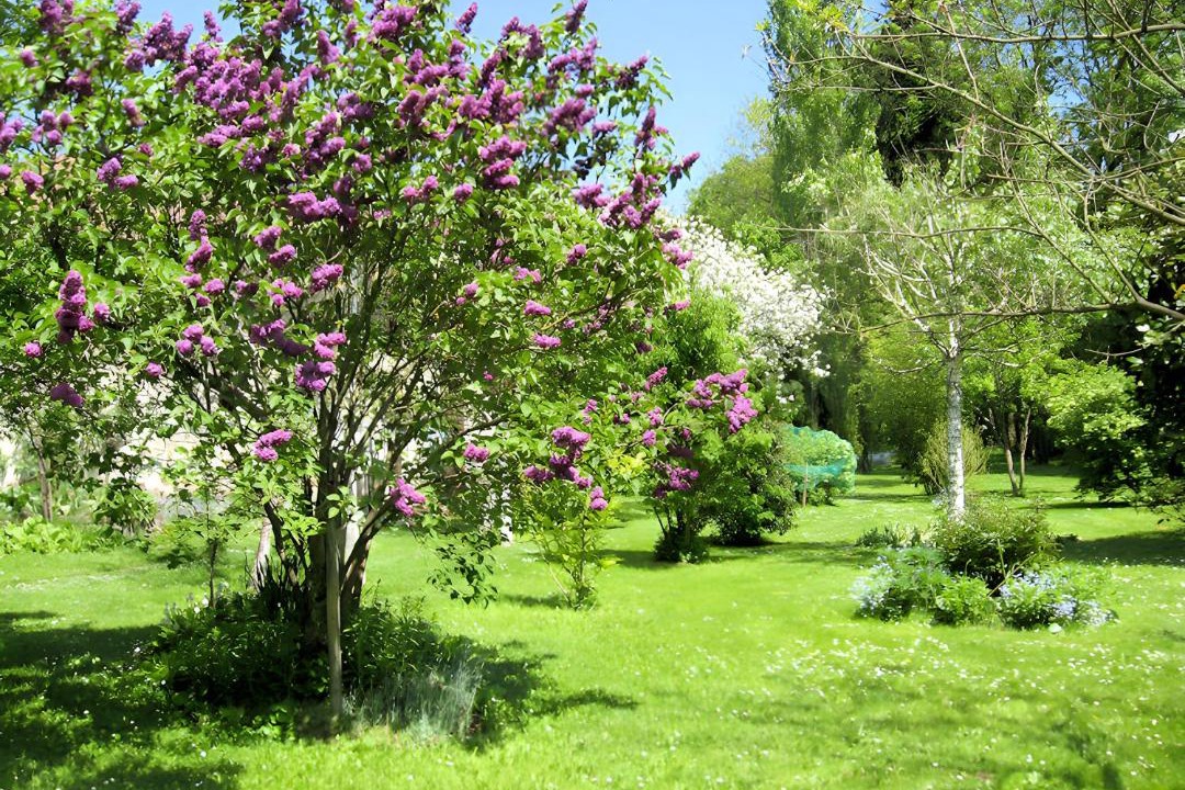 Photo of Outdoor in Panazol