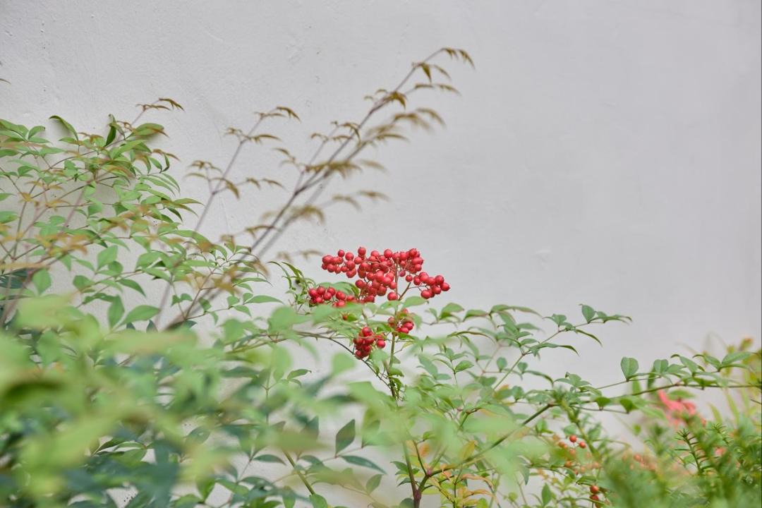 Photo of Others in Andong