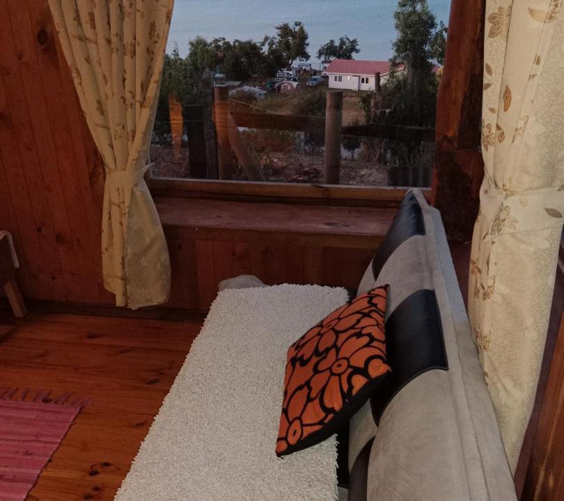 Photo of Others in Puyehue