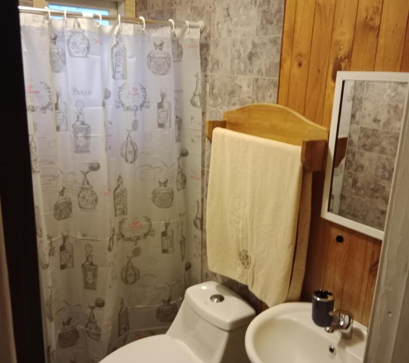 Photo of Bathroom in Puyehue