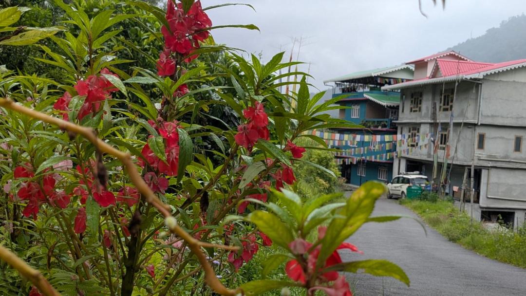 Photo of Others in Gangtok