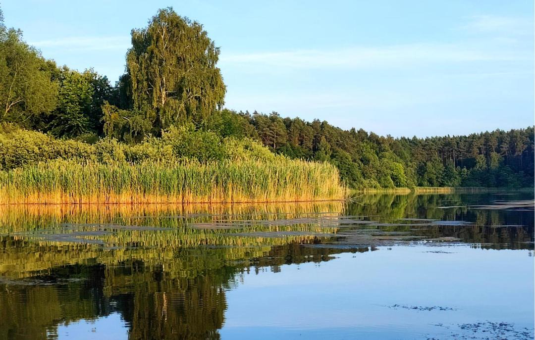 Photo of Others in Oberhavel