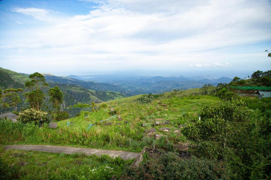 Photo of Others in Haputale