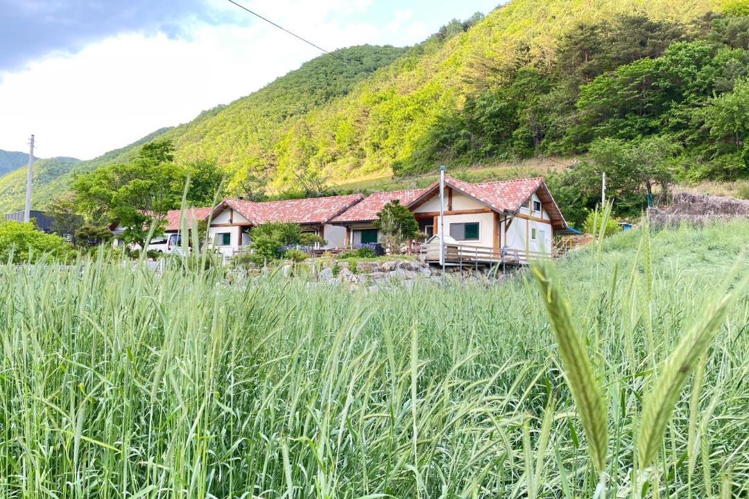 Photo of Others in Jeongseon
