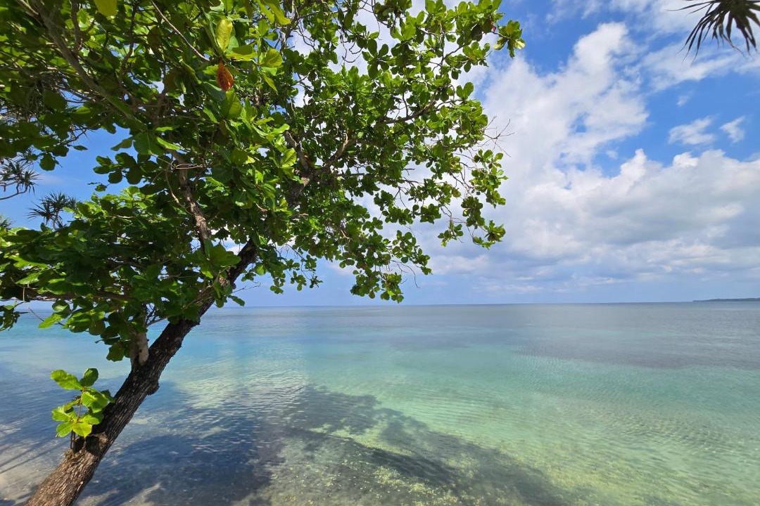 Photo of Others in Selayar Islands