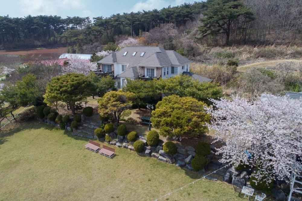 Photo of Others in Taean