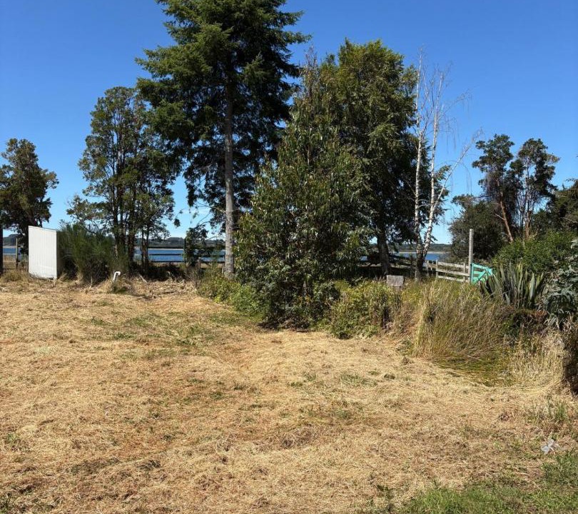 Photo of Others in Ancud