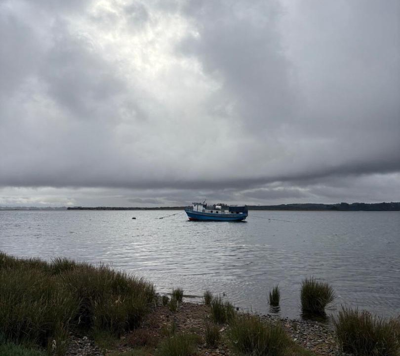 Photo of Others in Ancud