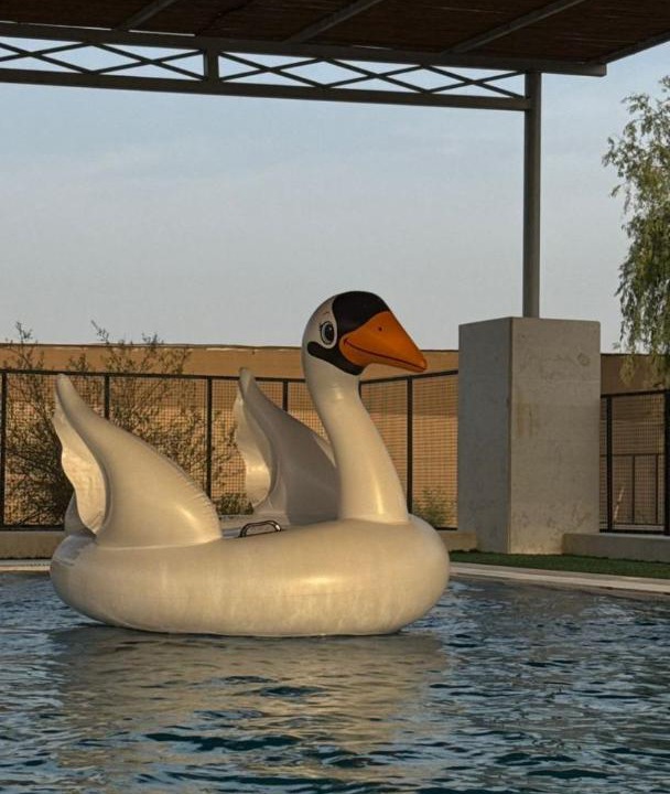 Photo of Others in Falaj al Moalla