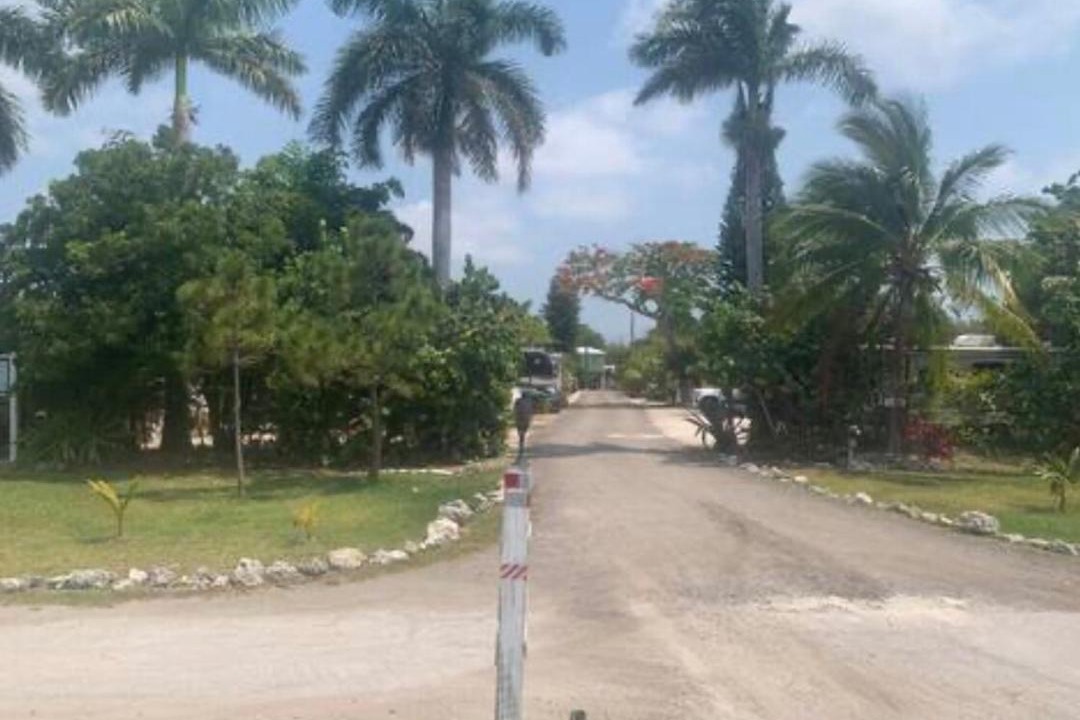 Photo of Others in Big Pine Key