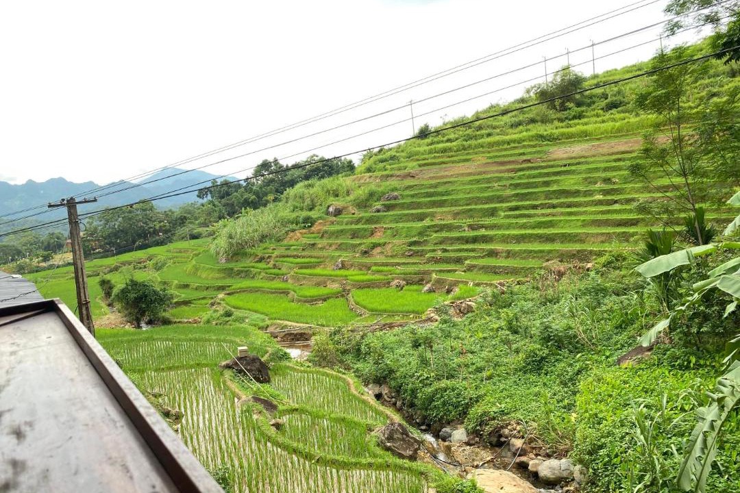 Photo of Others in Kho Muong