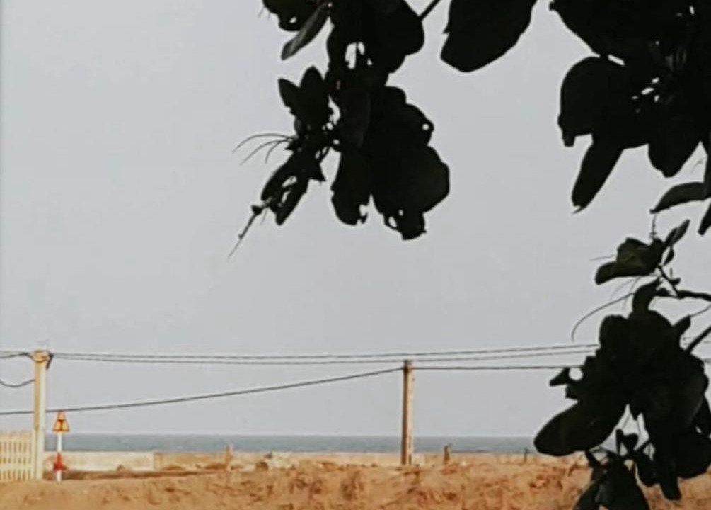 Photo of Others in Quat Lam