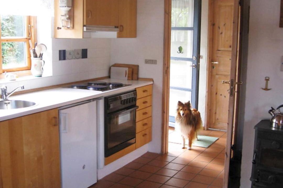Photo of Kitchen in Esbjerg Municipality
