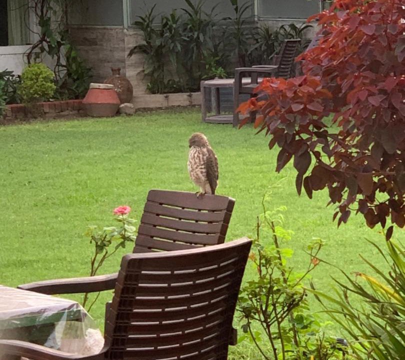 Photo of Others in Meerut