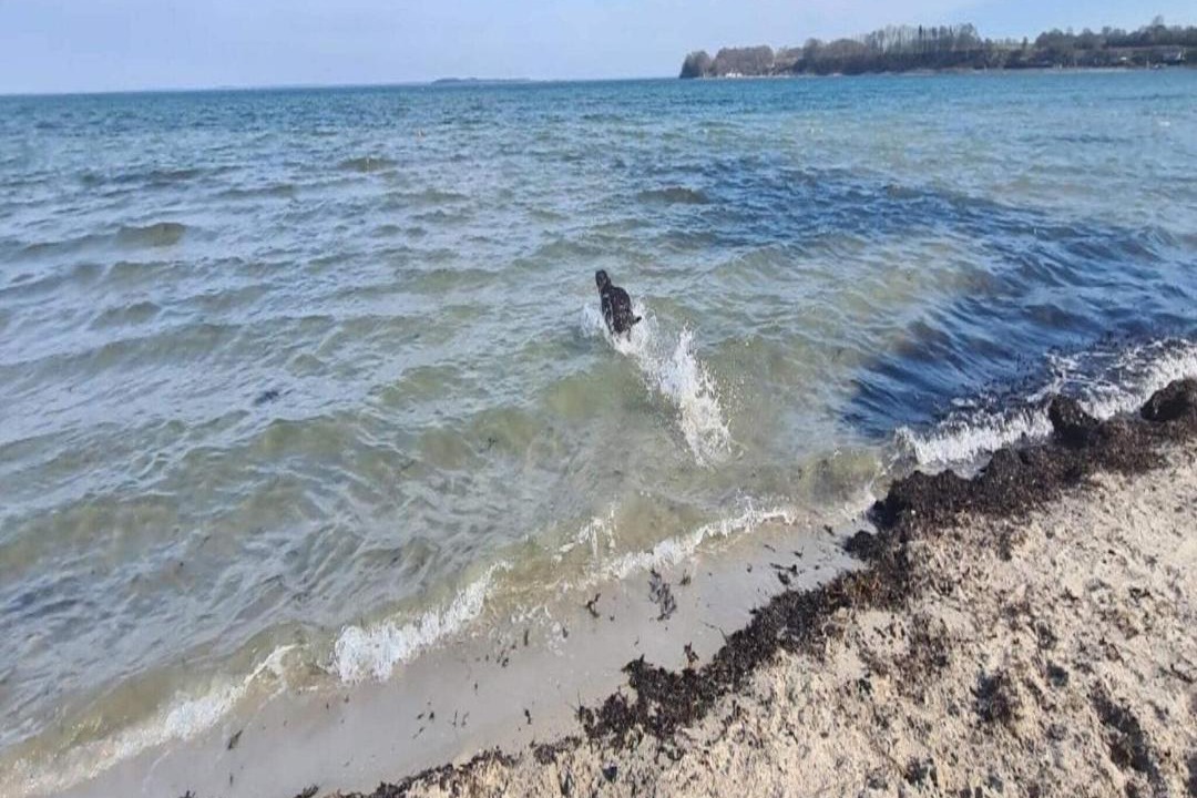Photo of Others in Hejlsminde Strand
