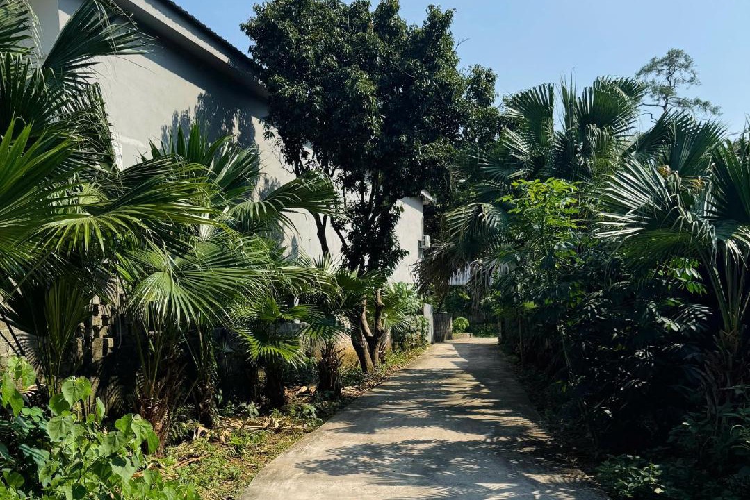Photo of Outdoor in Ba Vi
