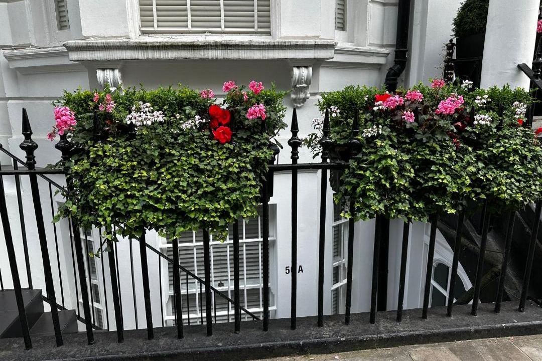 Photo of Others in Earl's Court
