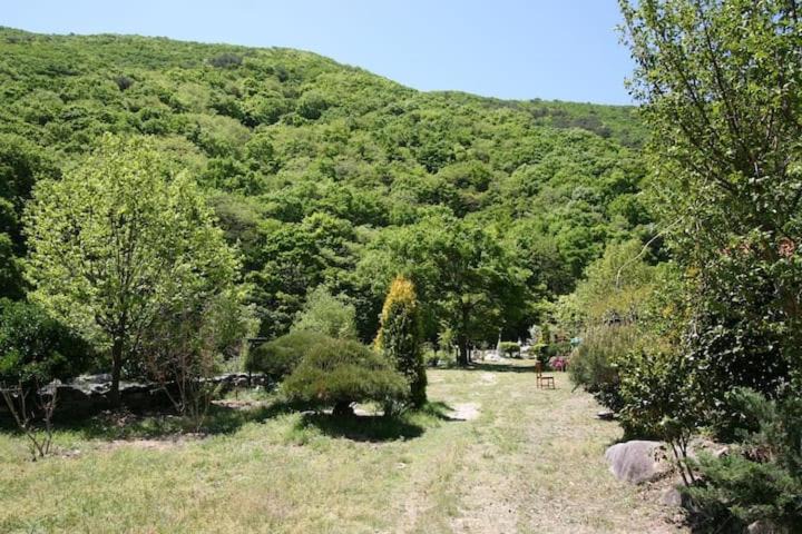 Photo of Outdoor in Yangsan