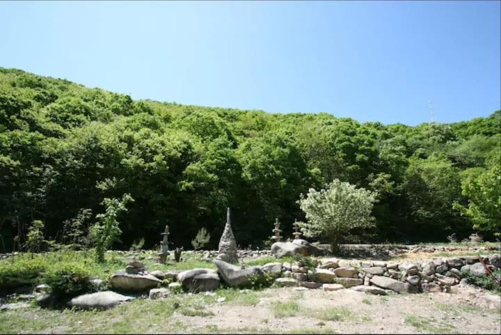 Photo of Others in Yangsan