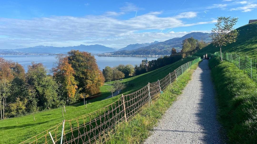 Photo of Others in Horgen District