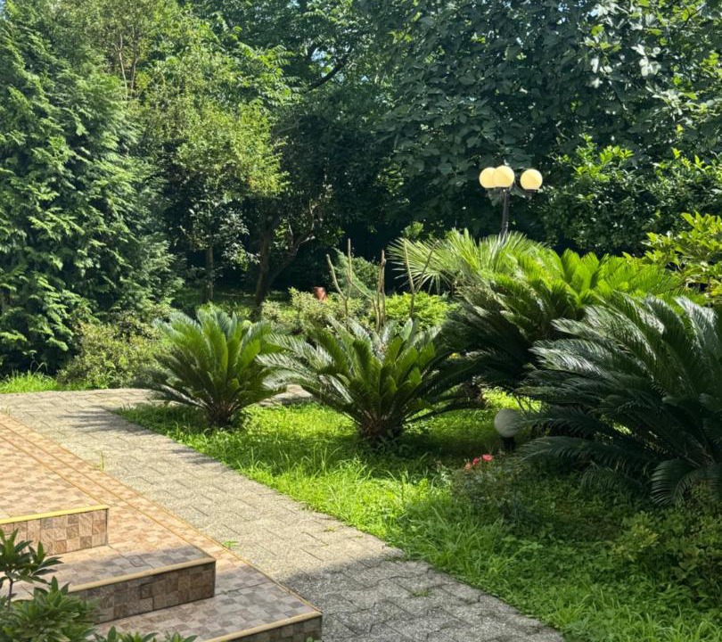 Photo of Outdoor in Makhinjauri