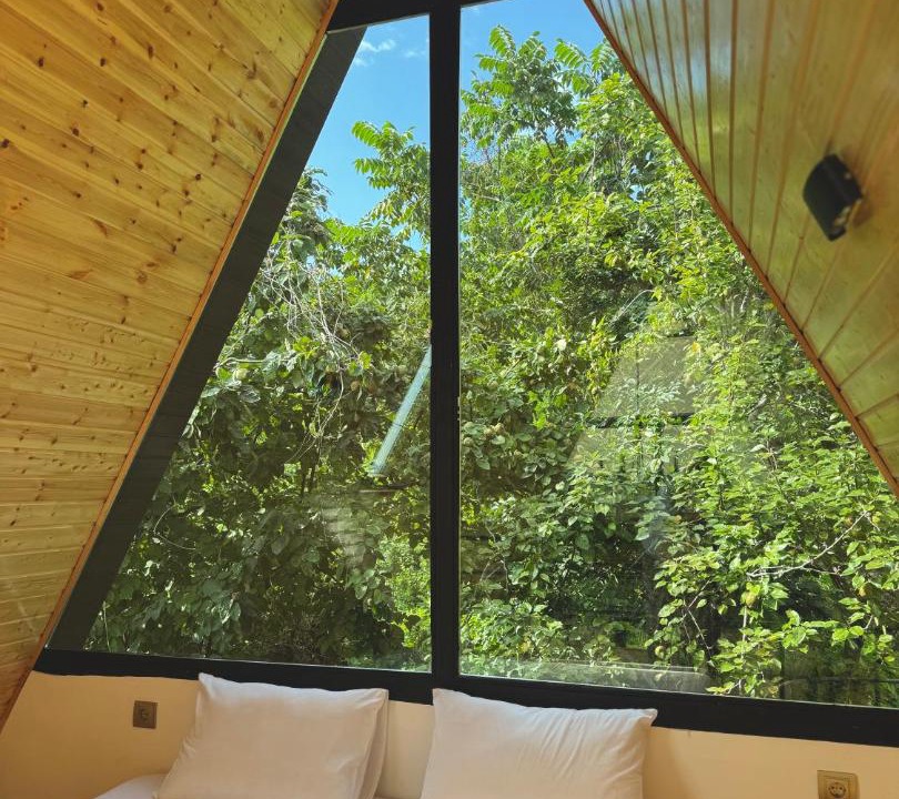 Photo of Bedroom in Khelvachauri