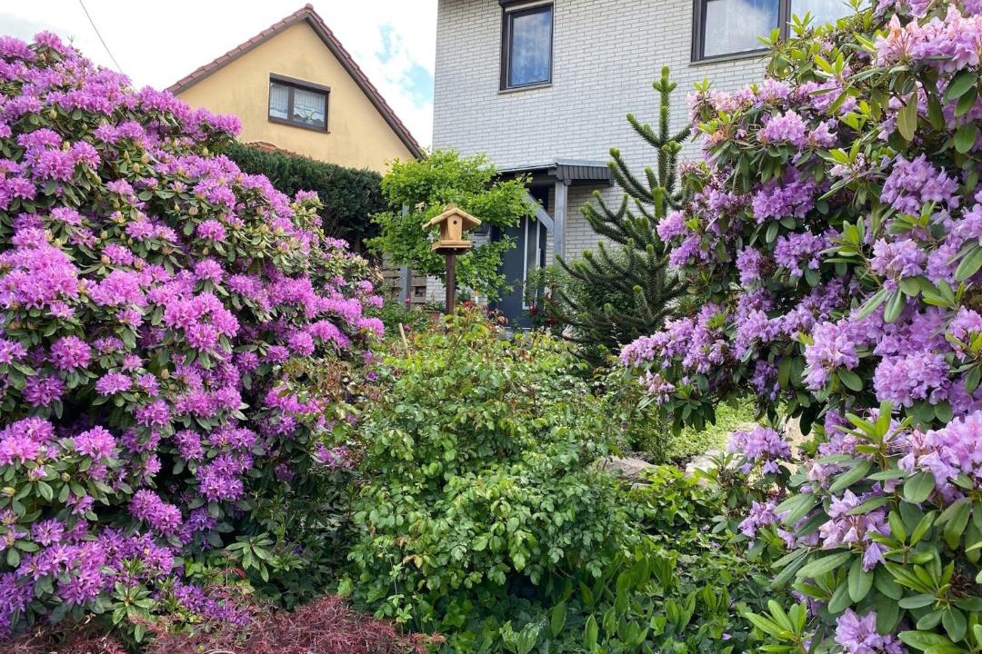 Photo of Outdoor in Emsetal