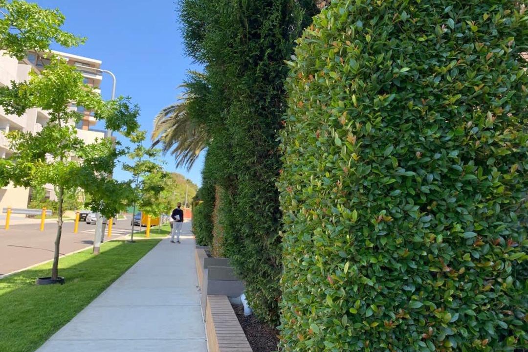 Photo of Outdoor in Caulfield North