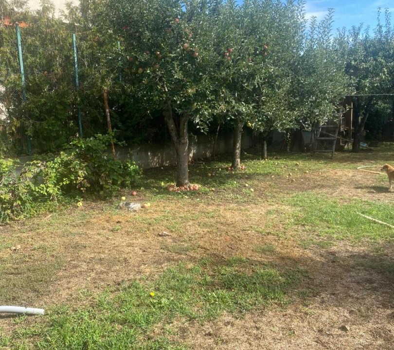 Photo of Others in Tecuci