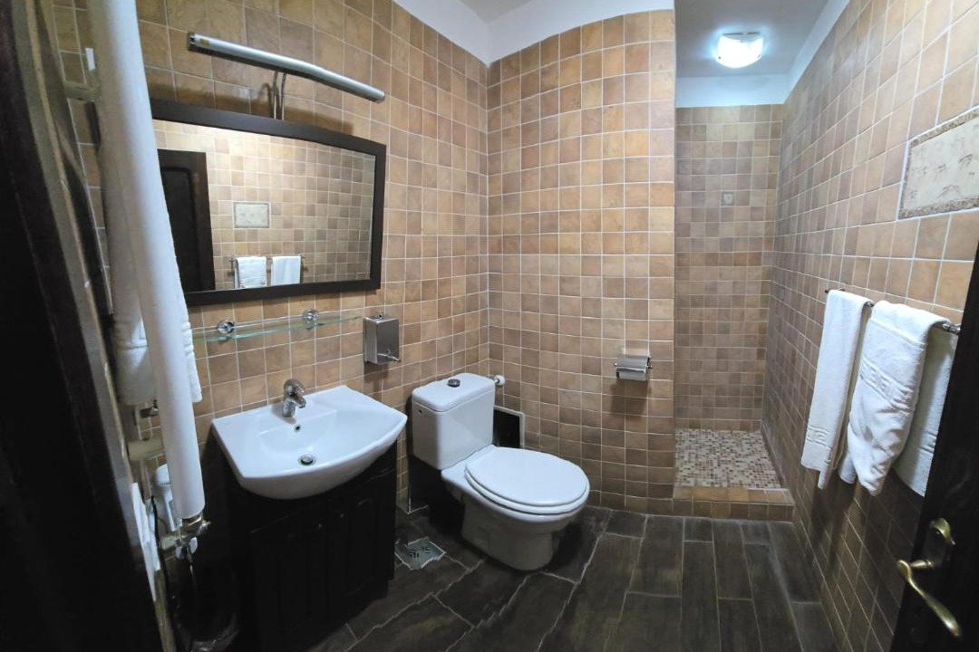 Photo of Bathroom in Lepsa