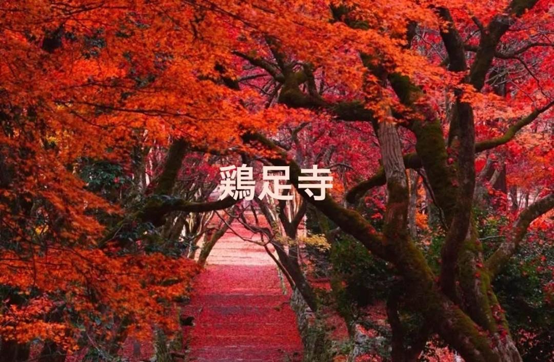 Photo of Others in Nagahama