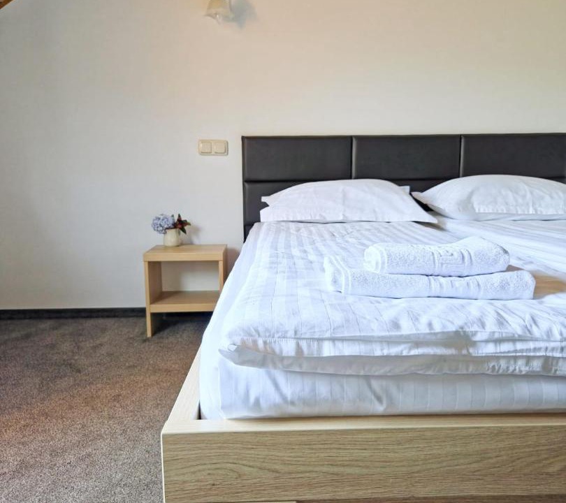 Photo of Bedroom in Maneciu