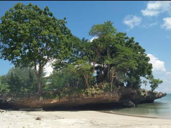 Photo of Others in Selayar Islands