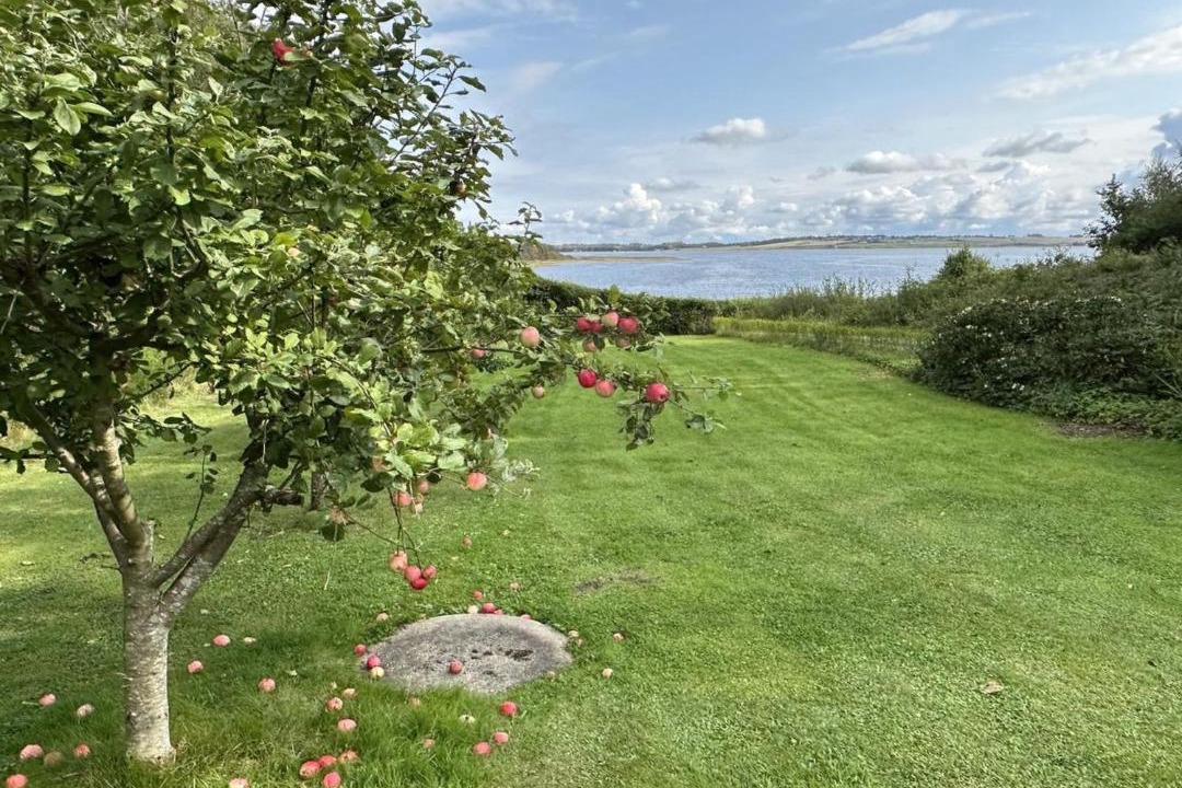 Photo of Others in Ronbjerg