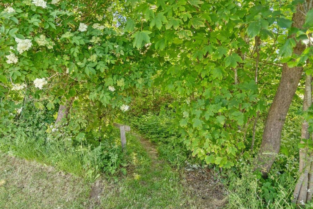 Photo of Others in Dageløkke