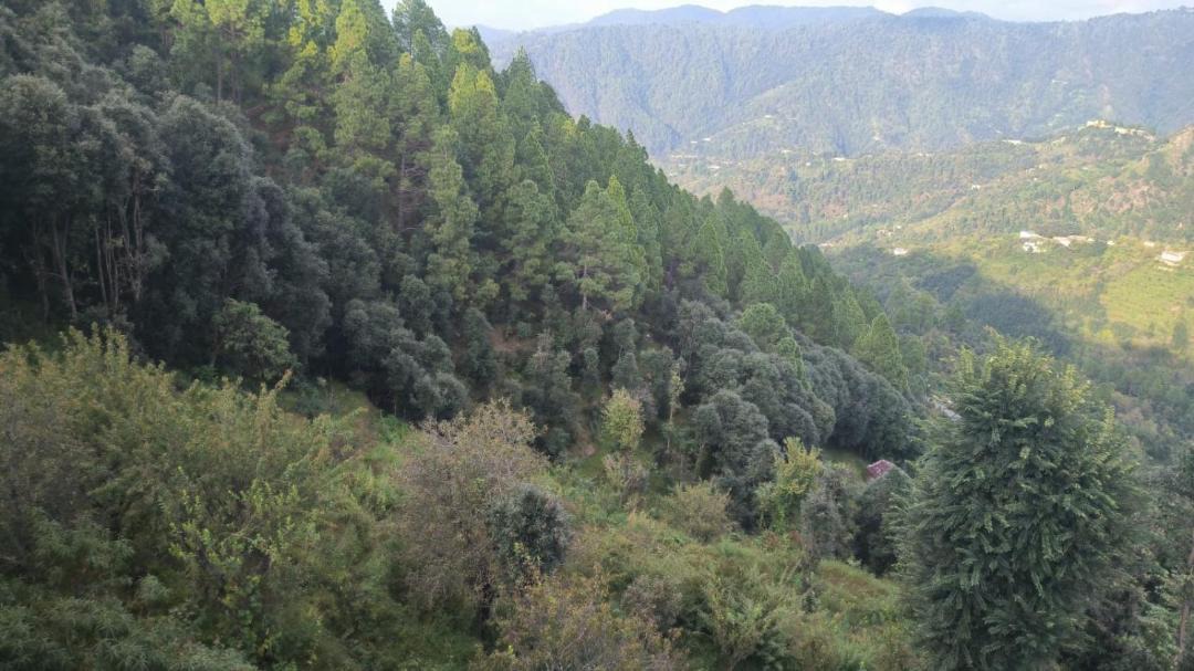 Photo of Others in Mukteshwar