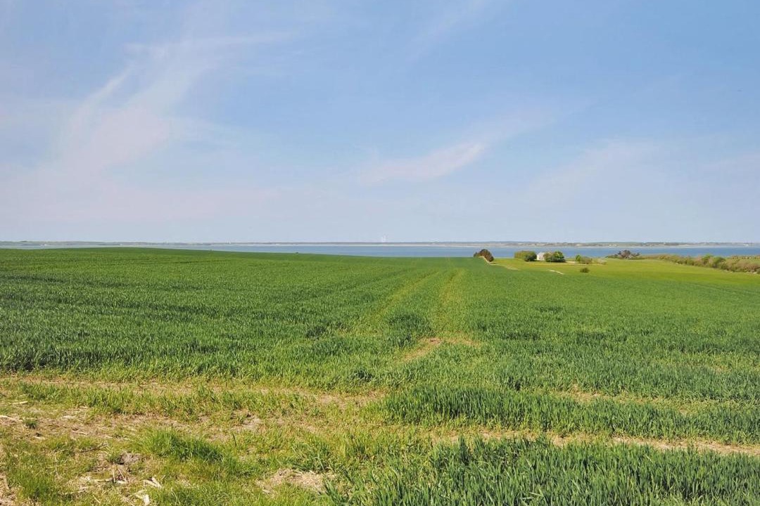 Photo of Others in Hesselbjerg