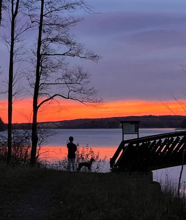 Photo of Others in Horten