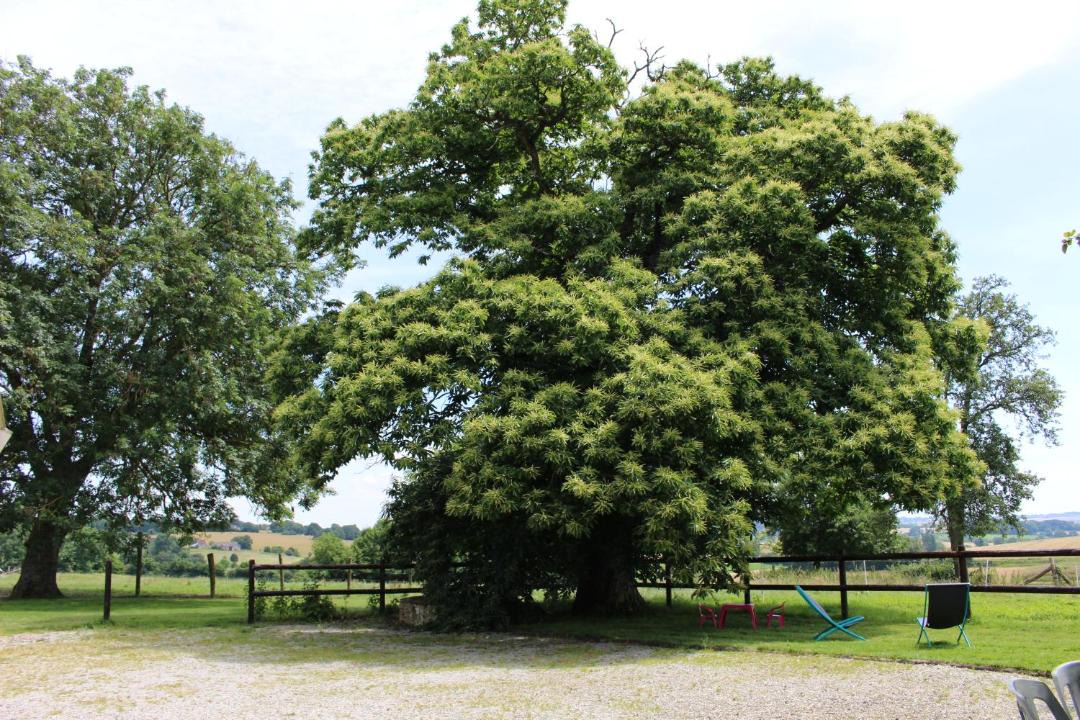 Photo of Outdoor in Saint-Ouen-de-Secherouvre