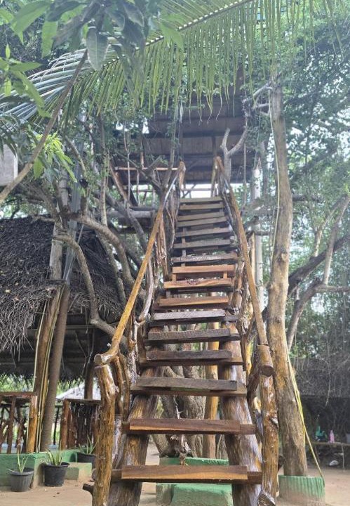 Photo of Others in Palatupana