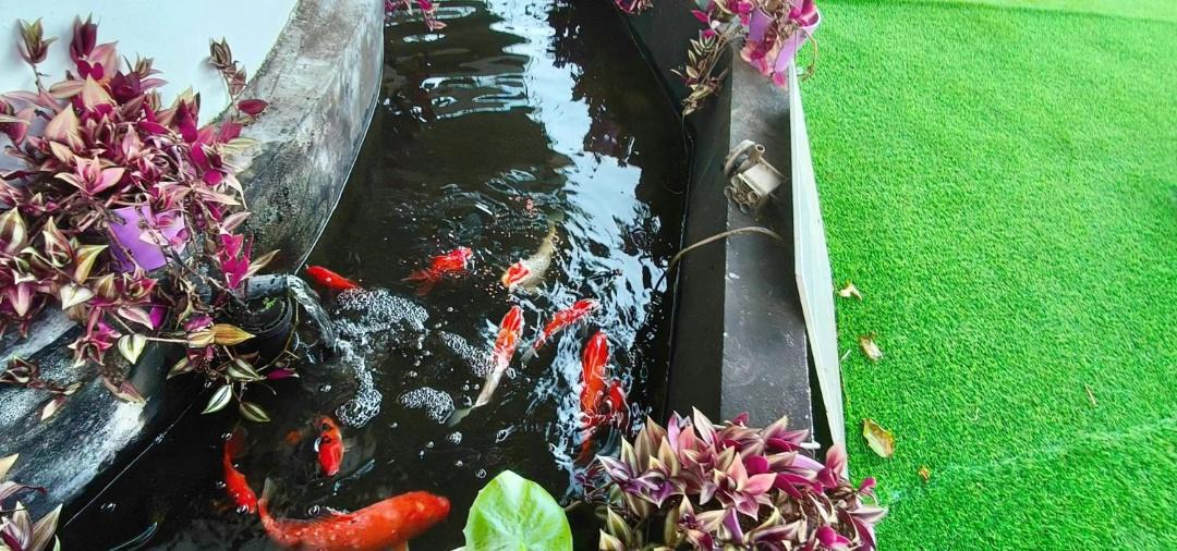 Photo of Outdoor in Candos
