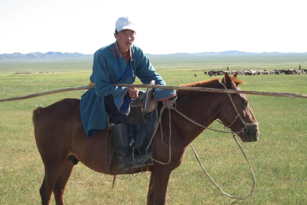 Photo of Human In Picture in Sergelen